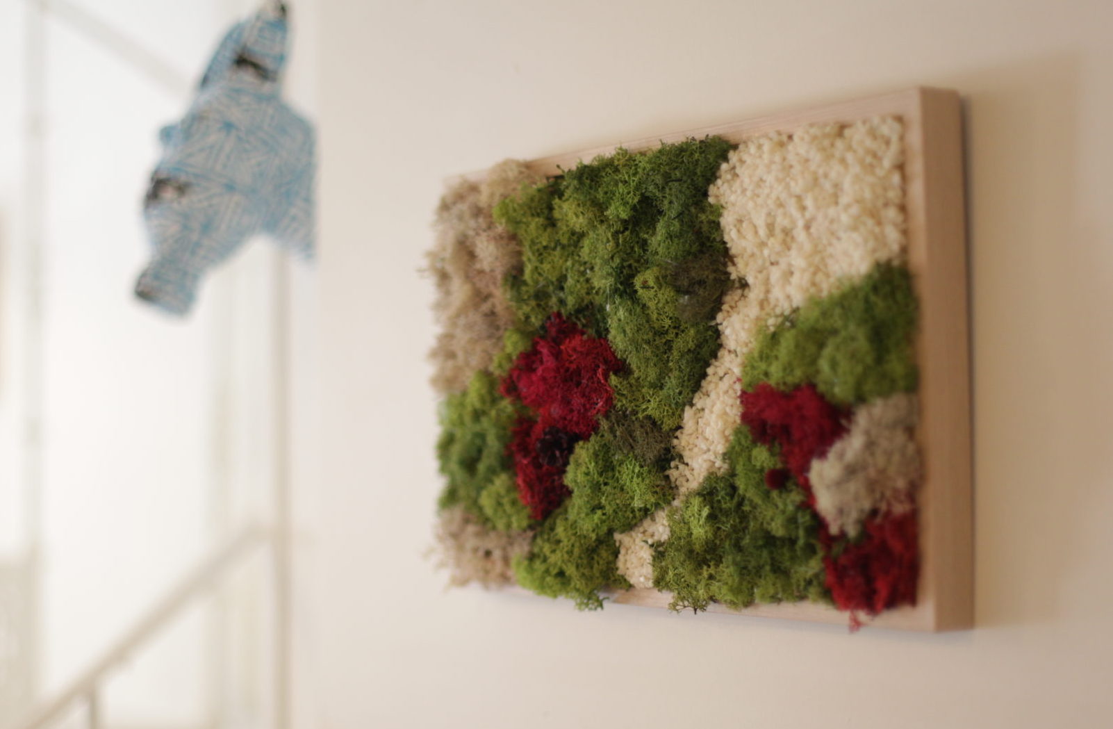 Cuadro de musgo preservado natural