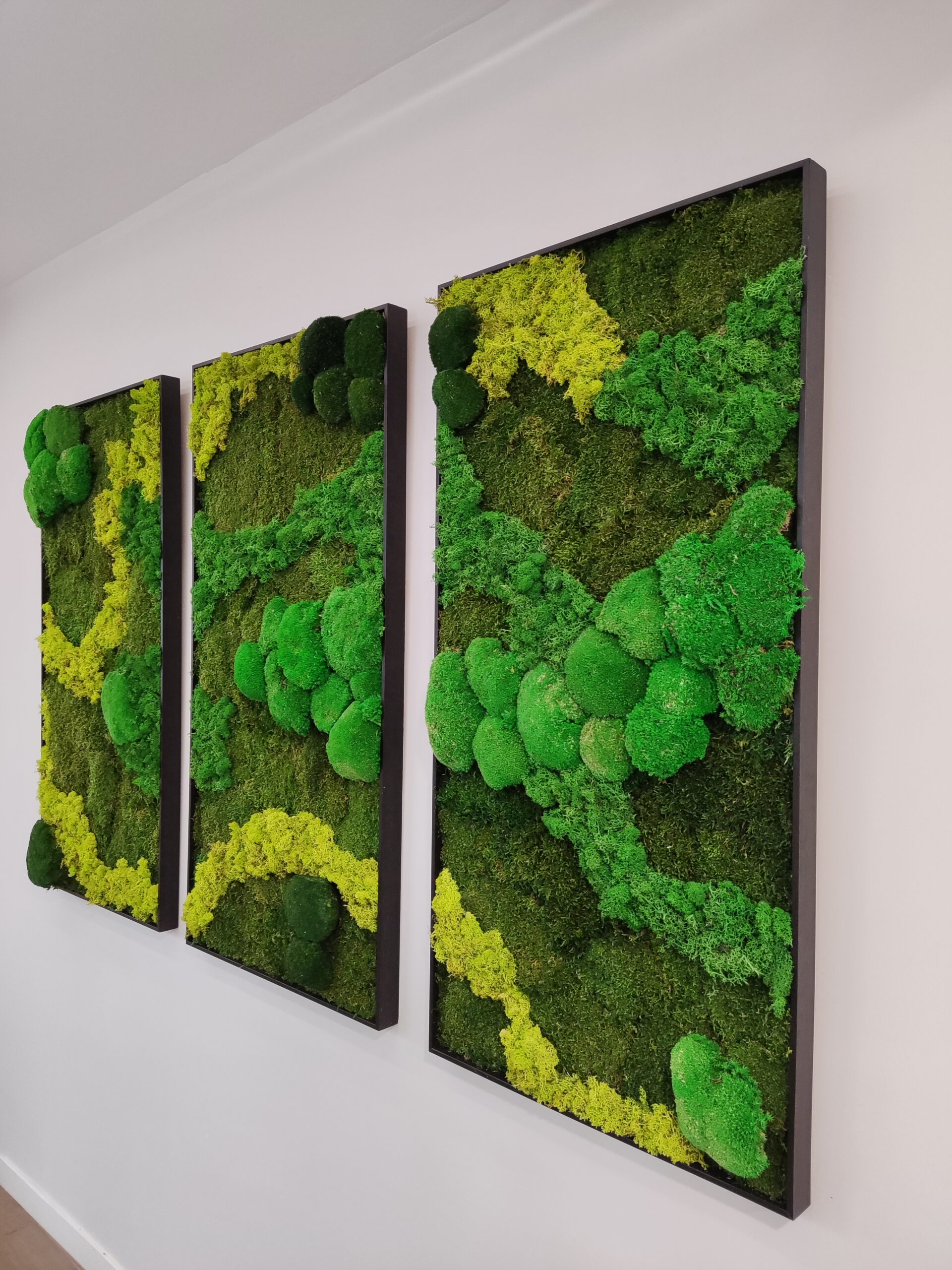 Ventajas y beneficios de tener cuadros de musgo preservado en casa